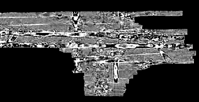 GPR Insights v3.4 release